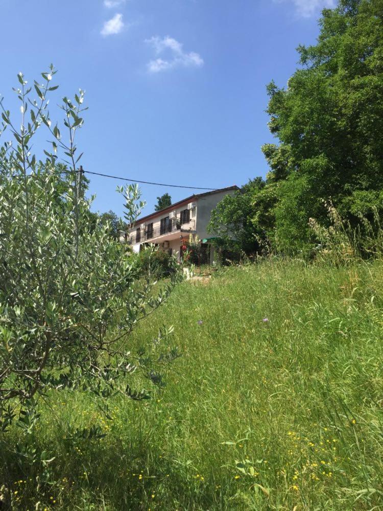 Apartment Cimbora, Salara Farmhouse コペル エクステリア 写真