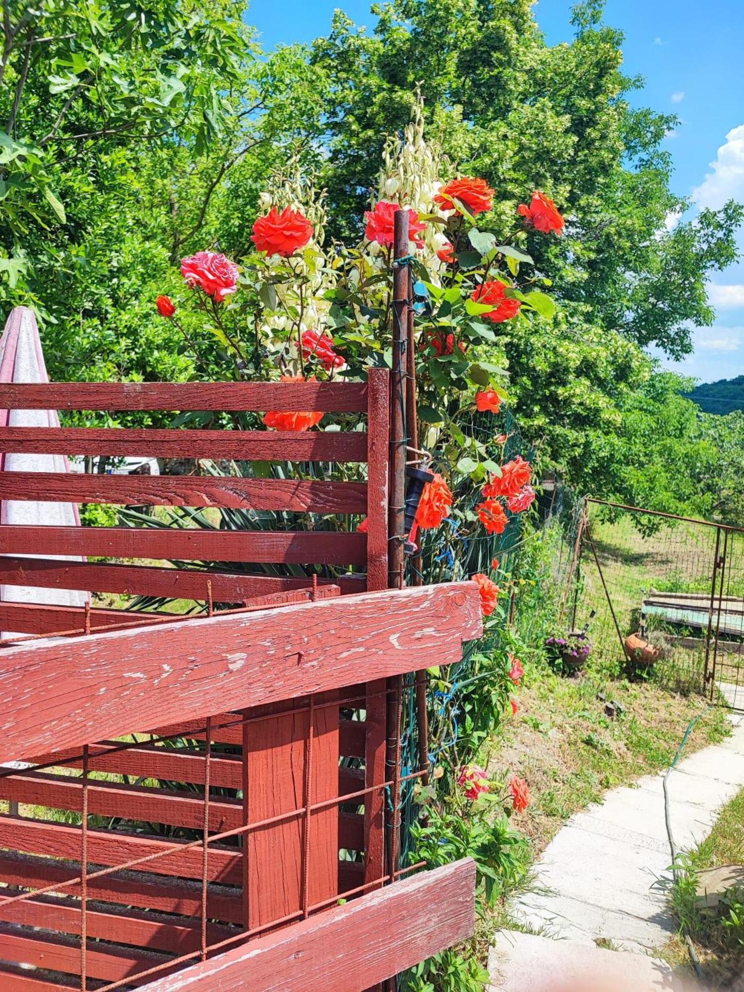 Apartment Cimbora, Salara Farmhouse コペル エクステリア 写真